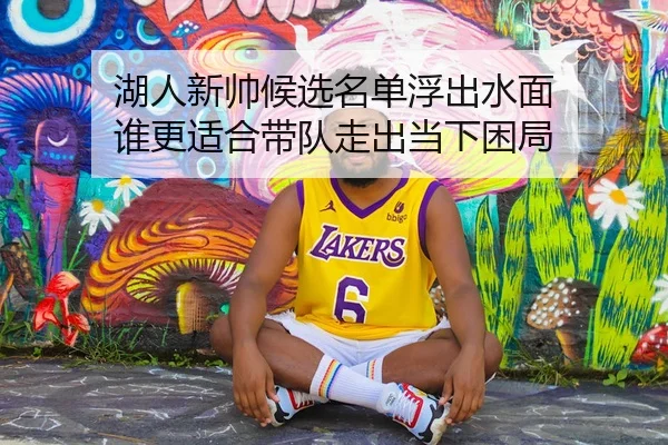 湖人新帅候选名单浮出水面 谁更适合带队走出当下困局 - 新闻资讯相关文章缩略图